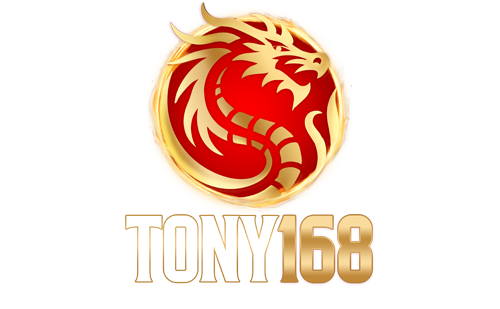 tony168 เว็บตรงที่รวมความมัน ความไว และความคุ้มค่าไว้ในที่เดียว